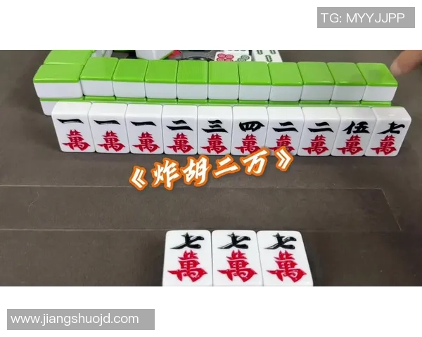 pg麻将胡了2玩法规则-探索Pg麻将胡了2的独特玩法规则-pg麻将胡了2玩法规则